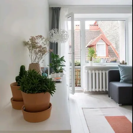 아파트 New Shiny Studio In A Quiet Area Of Old Town 빌뉴스